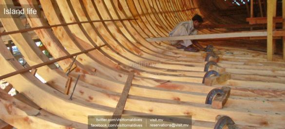  | Timber For Boat Building Building Wooden DIY Wooden Boat Plans